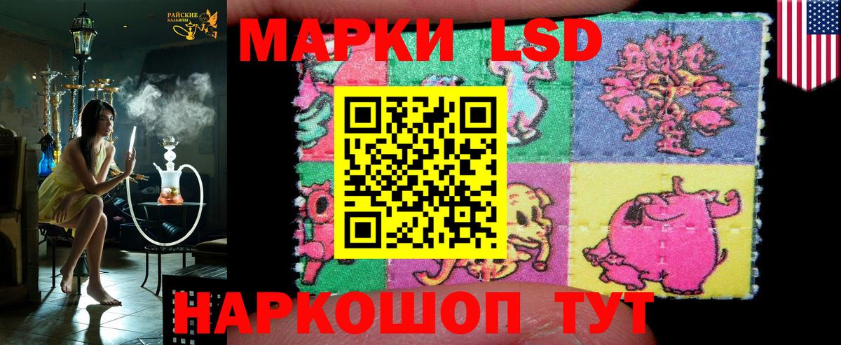 Новозыбков  Марки 25I-NBOMe 1,5мг  Вход с VPN  где продают наркотики  Марки 25I-NBOMe 1,5мг  Марки N-bome 