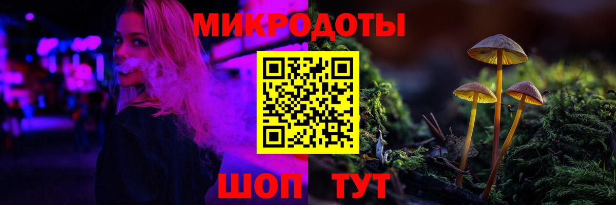 Галлюциногенные грибы Psilocybe Новозыбков
